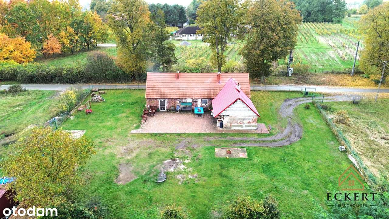 GÓRZYKOWO | Dom + działki budowlane (0,7886 ha) - Pełny obrazek: 4/16