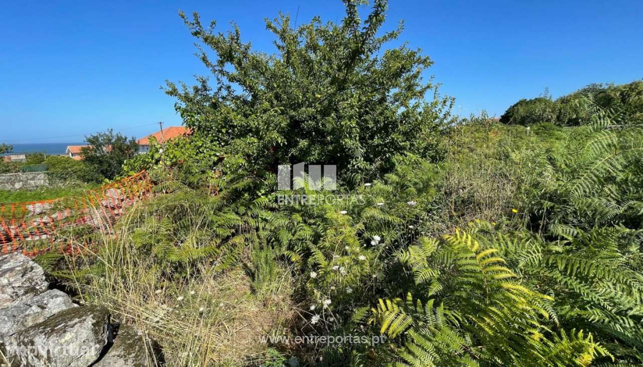 Venda de ótimo terreno para construção, Areosa, Viana do Castelo - Grande imagem: 4/30