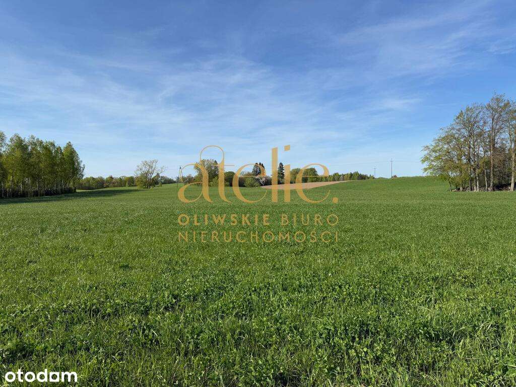 Rębiska/Kielno/Warzno działka z WZ - Pełny obrazek: 5/8