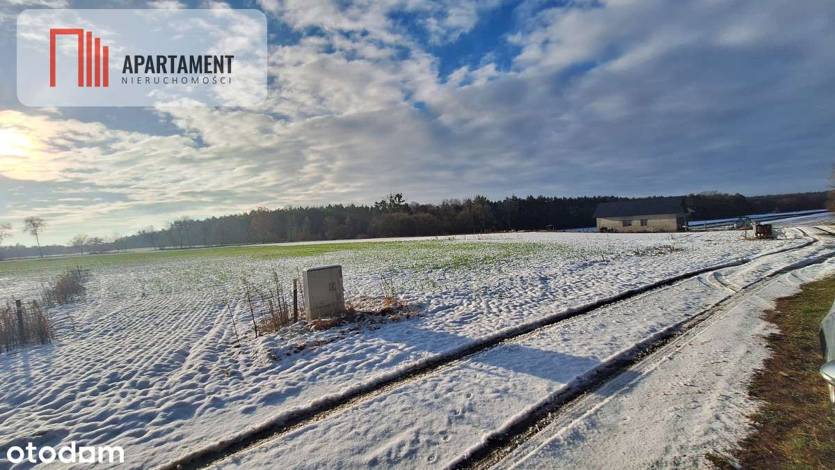 Z miasta na wieś! Idealne miejsce do zamieszkania. - Pełny obrazek: 2/6