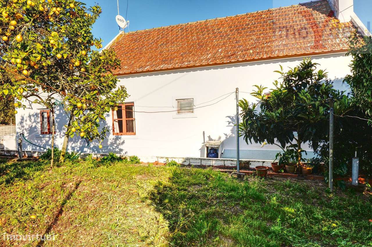 Quinta em Melides-32