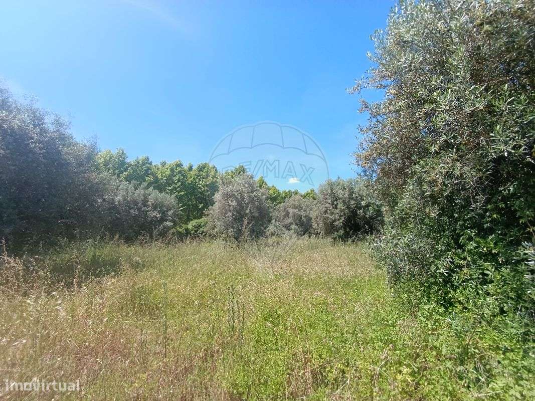 Terreno  para venda - Grande imagem: 3/13