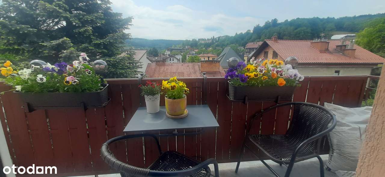 Mieszkanie w centrum z garażem i ogródkiem - Pełny obrazek: 4/15