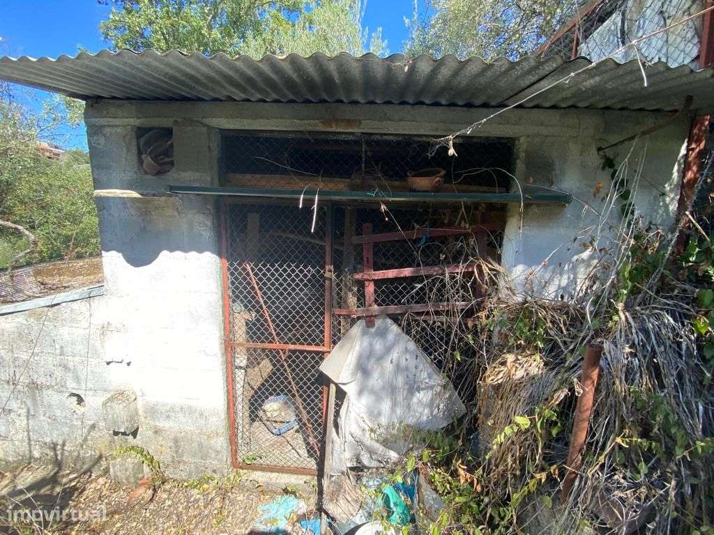 Quintinha - Grande imagem: 4/17