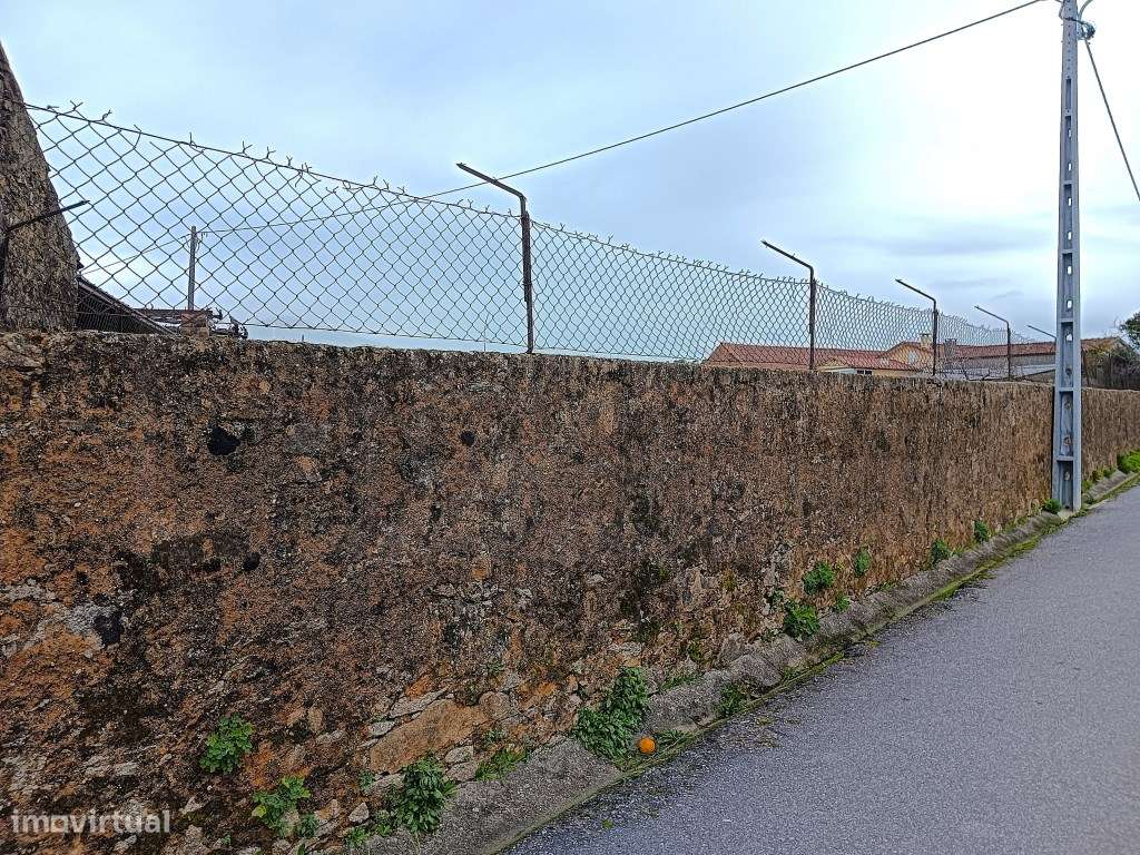 Terreno para Venda - Albergaria -a - Velha / Branca - Grande imagem: 4/20