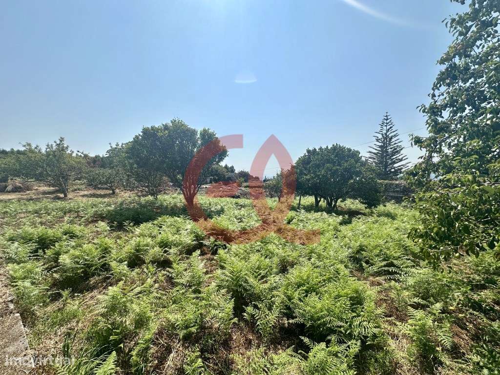 Terreno - Afife, Viana do Castelo - Grande imagem: 2/13