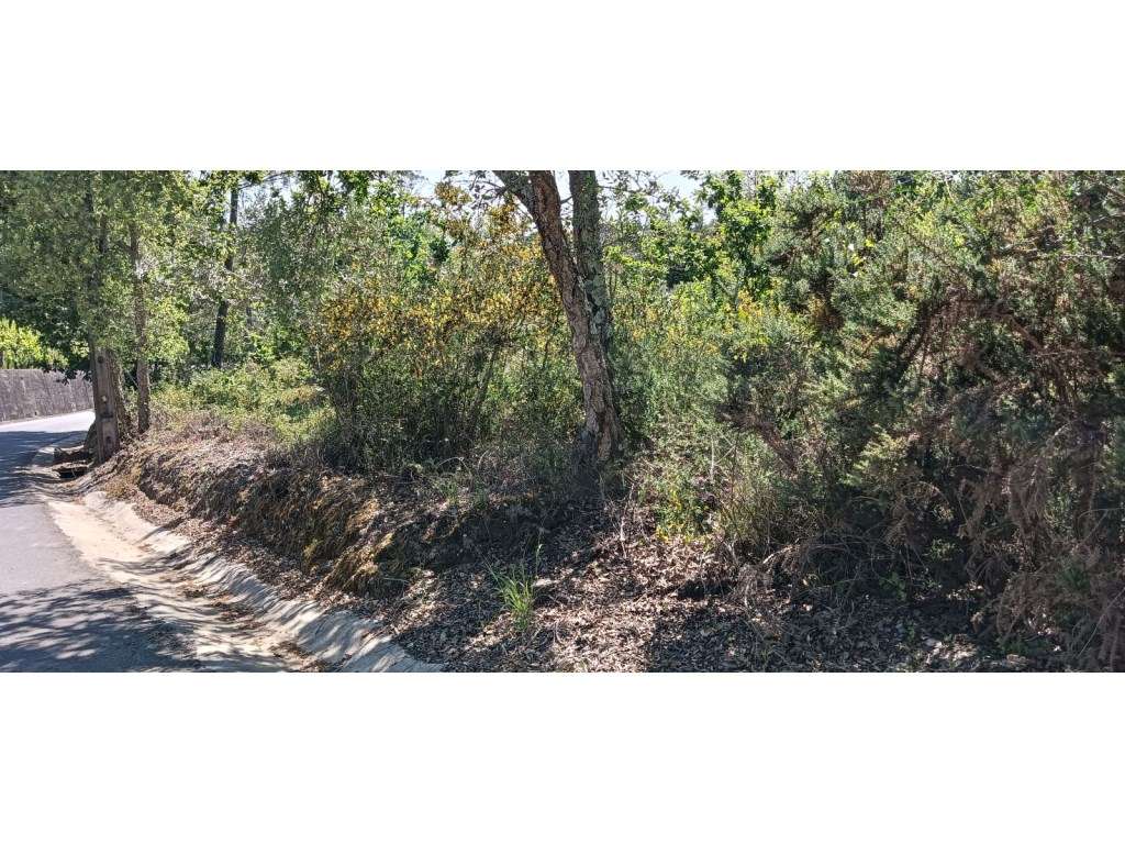 Terreno para construção - Requeixo - Grande imagem: 5/10
