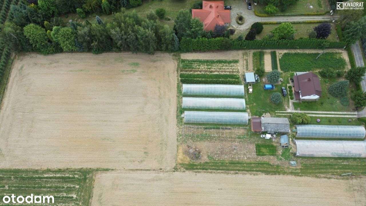 Działka budowlana Mr z wydanymi Wz 5400m2 Maszki. - Pełny obrazek: 4/4