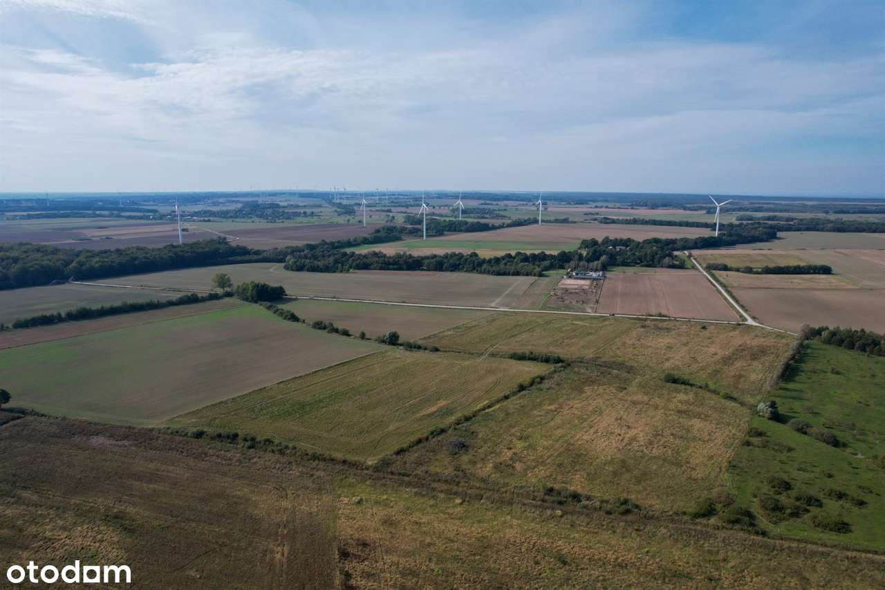 Duninówko - działki rolne - Pełny obrazek: 5/5