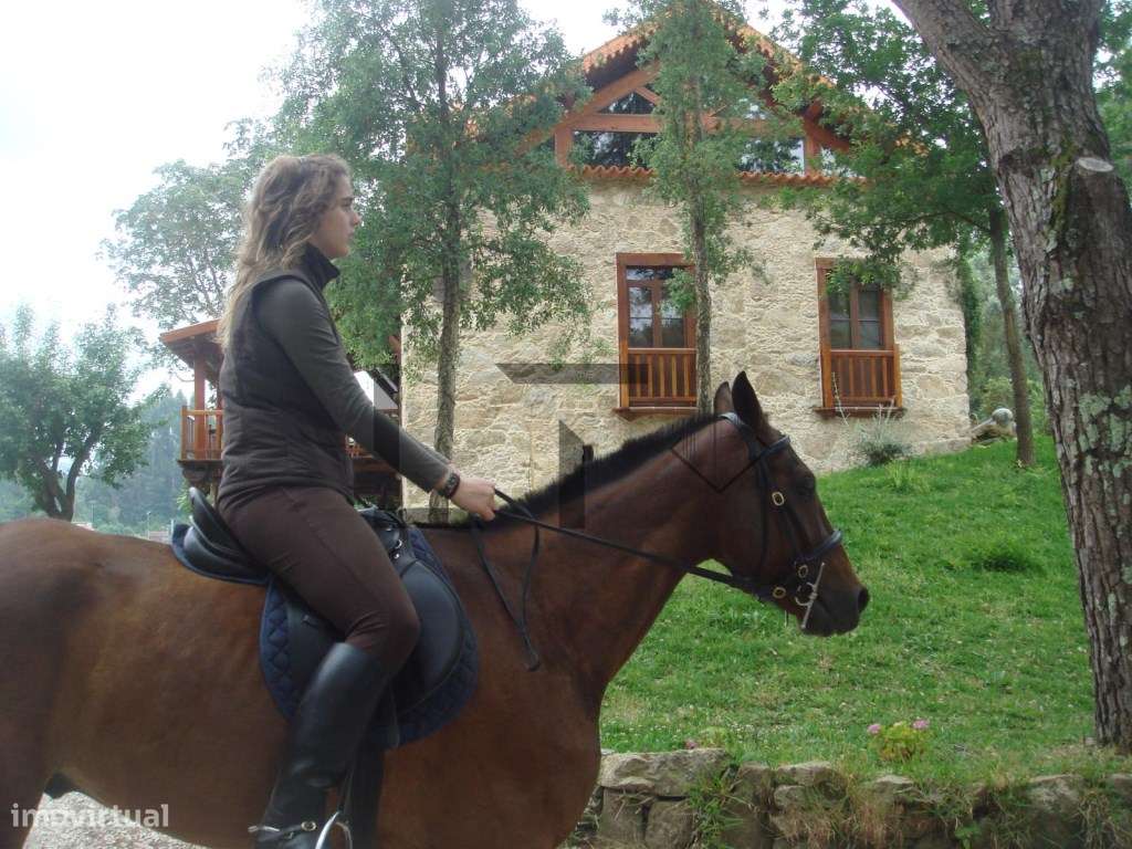 Quinta de Charme com Vinhas, Produção de Vinho e Piscina, para Vend... - Grande imagem: 5/60