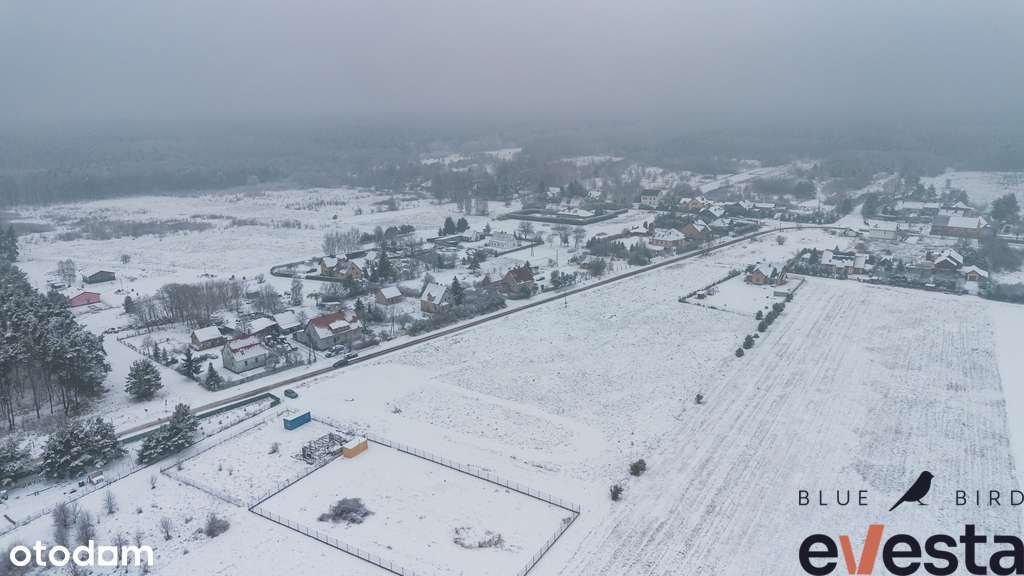 DZIAŁKA 132/12 | MIŁOGOSTOWICE |  2390m2 - Pełny obrazek: 5/7