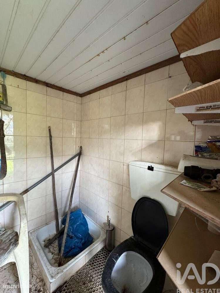 Terreno Agrícola em Tabuaço - Grande imagem: 5/16