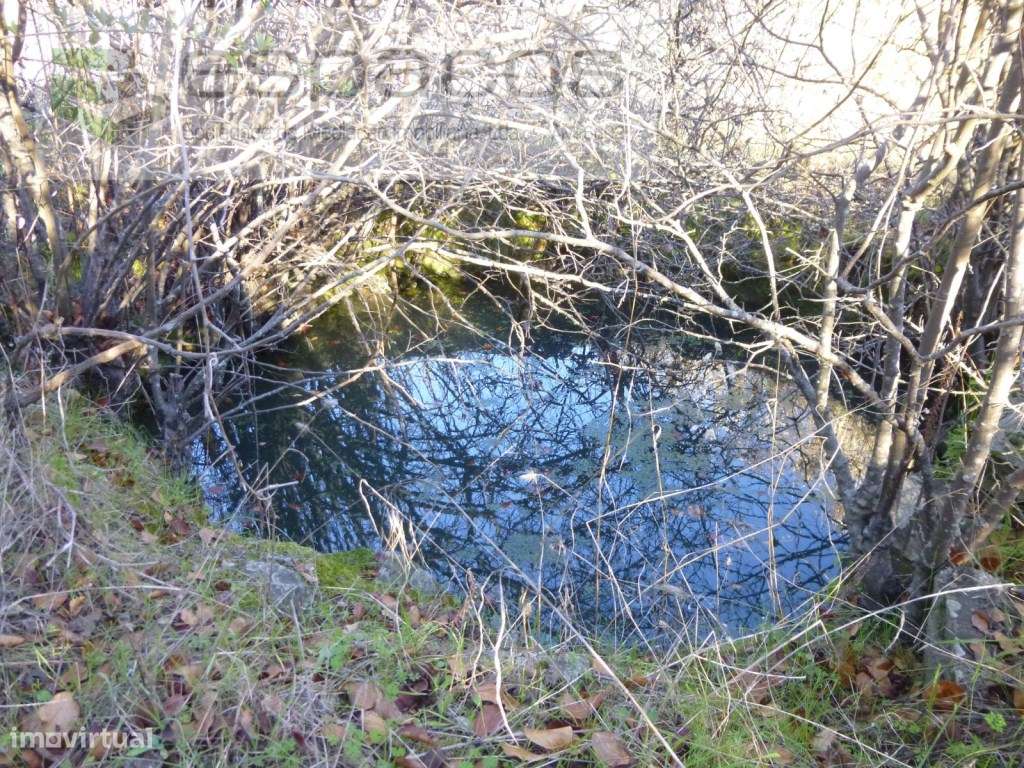 Quintinha Vale da Burra - Grande imagem: 3/5