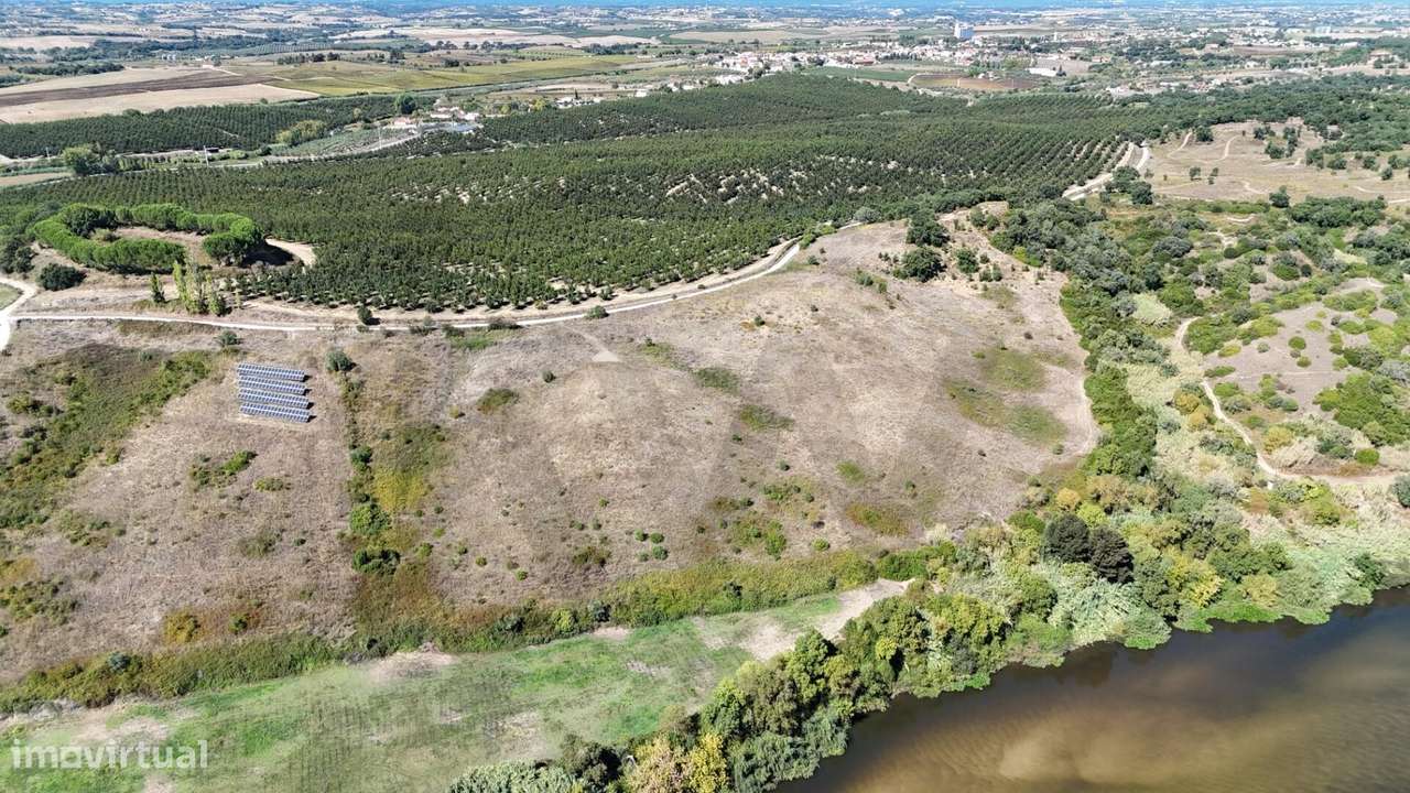 Terreno Excecional com Vista Panorâmica para o Rio Tejo — Vale de Figu - Grande imagem: 5/18