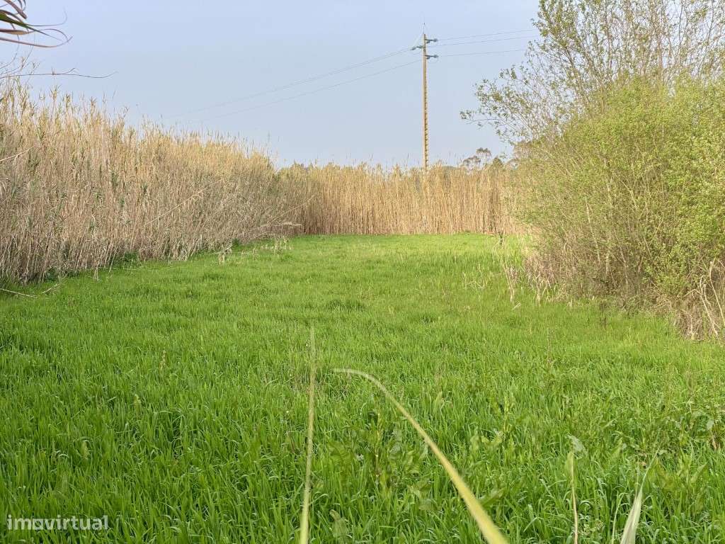 Terreno rustico à venda em Famalicão, Nazaré-4