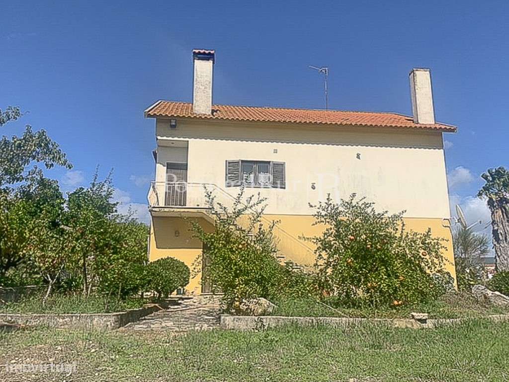 Encantadora Quinta em Alcanena com Moradia e Potencial Agrícola - Grande imagem: 3/29