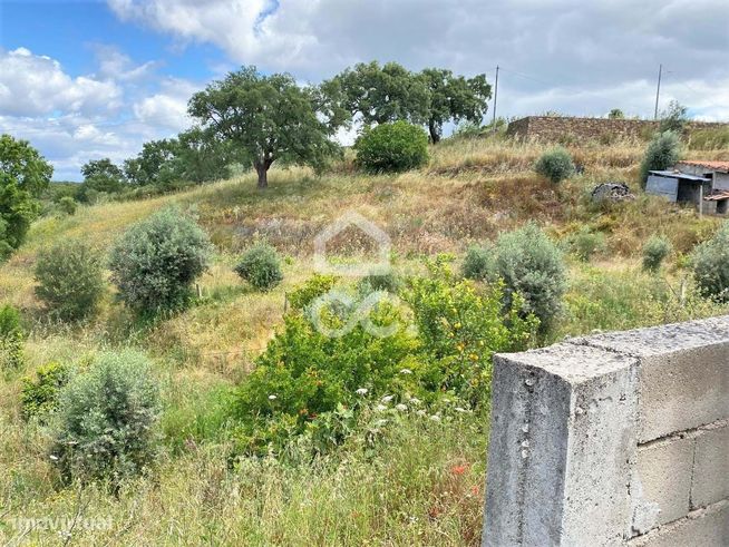 Moradia T2 inserida em Terreno de 528m2 em Gavião-26