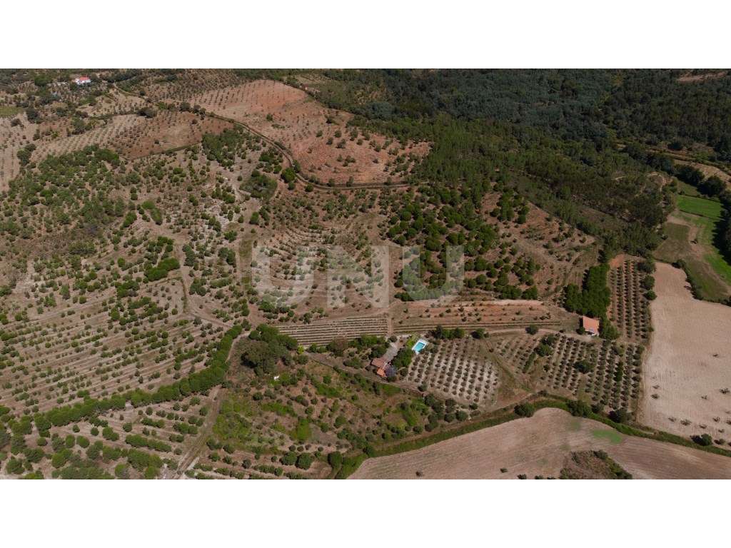 Herdade com 34 Hectares-31