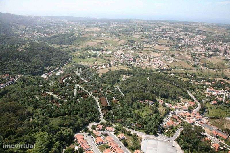 Terreno Urbanizado em Sintra para Construção Moradia - Grande imagem: 5/5