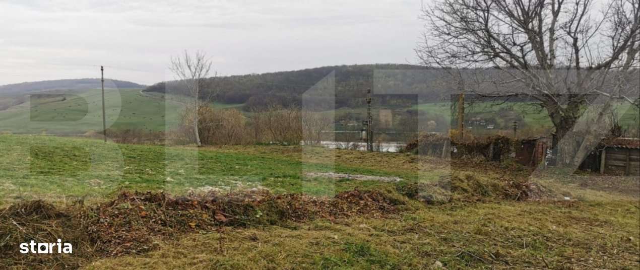 Investitie ! Casa individuala 1 camera, 51 mp, 3000 mp teren, Geaca ! - Imagine principală: 5/5