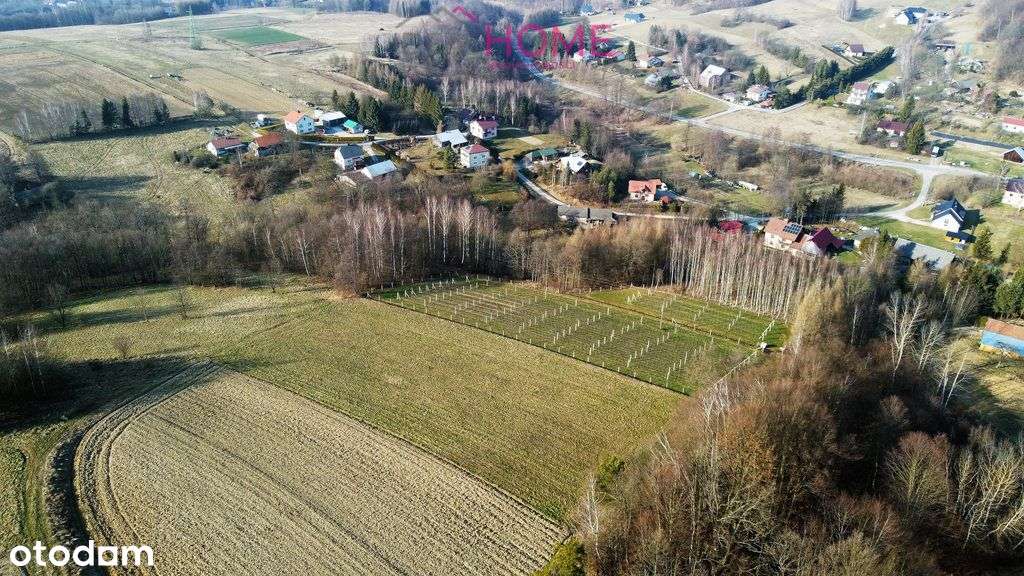Widokowa działka na sprzedaż Piątkowa- z Wz - Pełny obrazek: 5/10