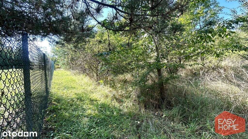 Cudowne miejsce w pobliżu jeziora i lasu-6