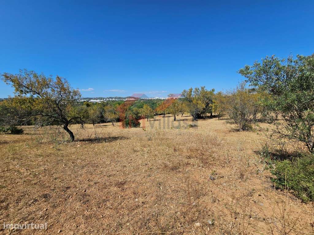 Moradia tradicional V5 para recuperar com terreno de 31.000 m2 - Loulé-17