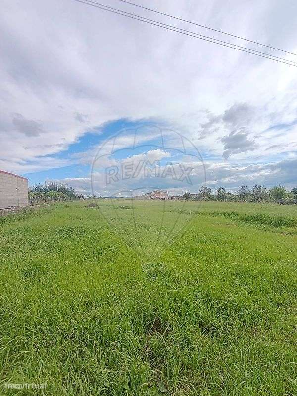 Terreno  para venda - Grande imagem: 4/8