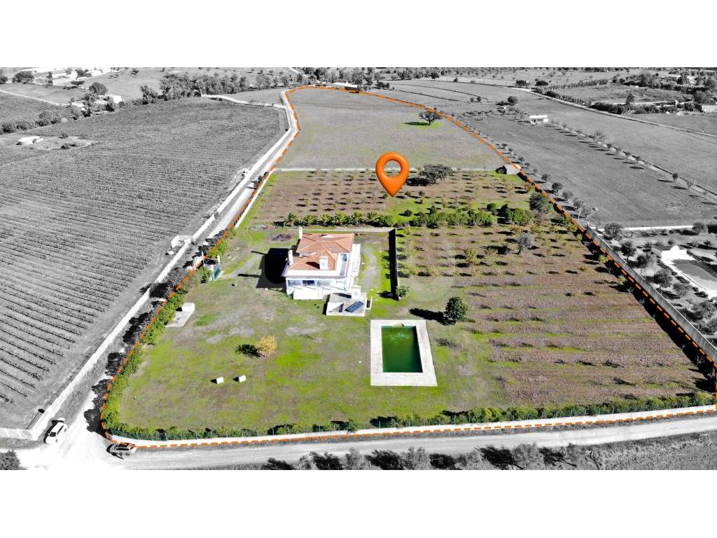 Quinta com 4,8 hectares e casa T9 em Vila Nova da Baronia-6