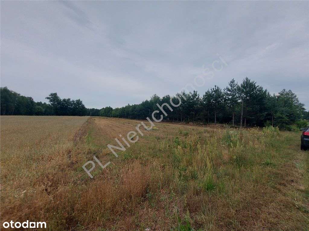 Działka Budowlana W Głuszy Rezerwatu-4