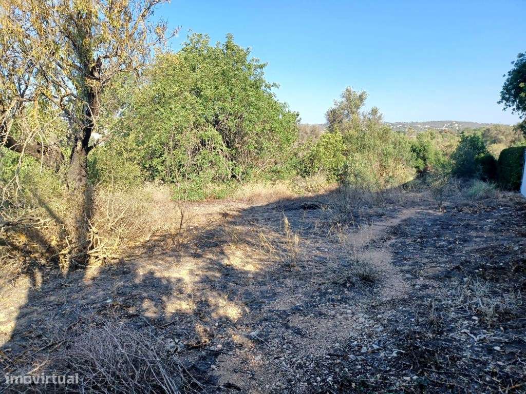 Terreno com PIP para construção de moradia com piscina - Boliqueime - Grande imagem: 2/9