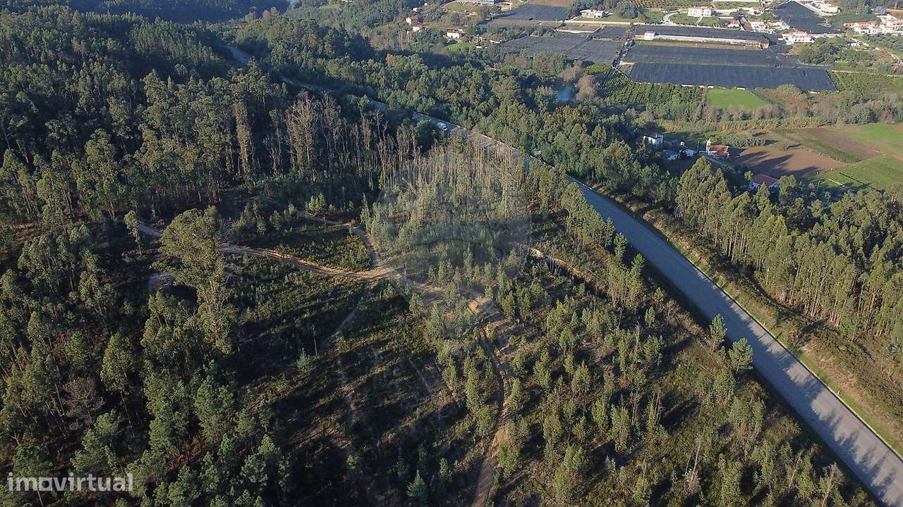 Terreno  para venda - Grande imagem: 5/6