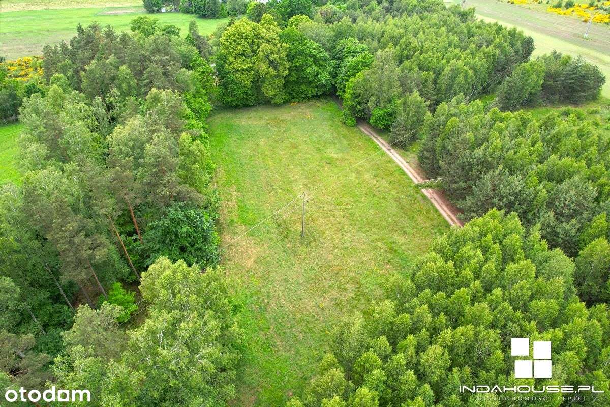 Działka budowlana z WZ, dookoła las - Pełny obrazek: 3/11