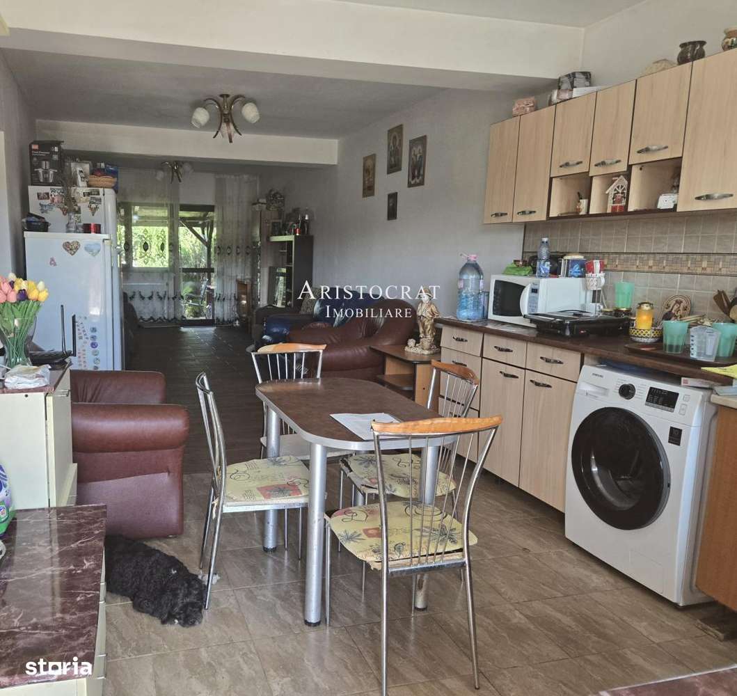 Duplex pe parter Tamasi padure - Imagine principală: 5/15