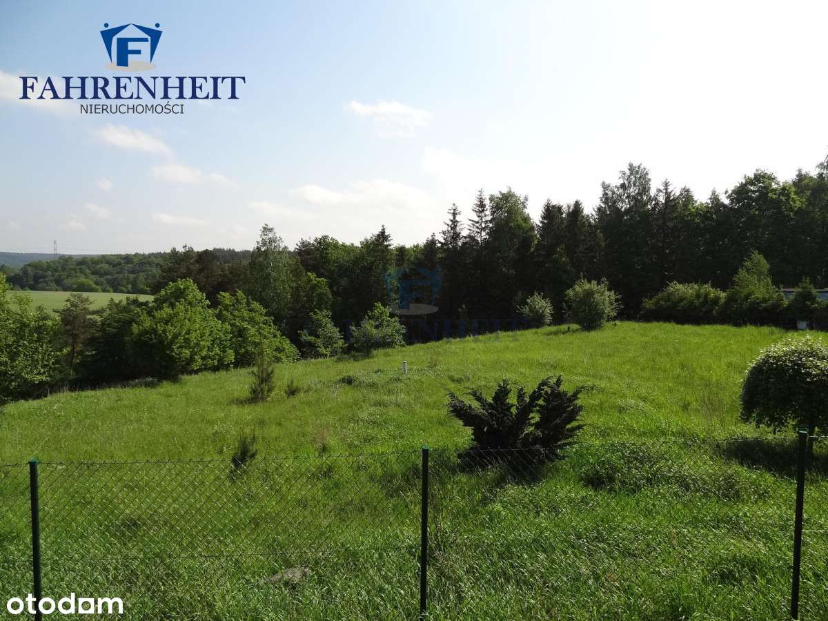 Uzbrojona działka, prąd, gaz, woda, ś-wód, Las !!-0