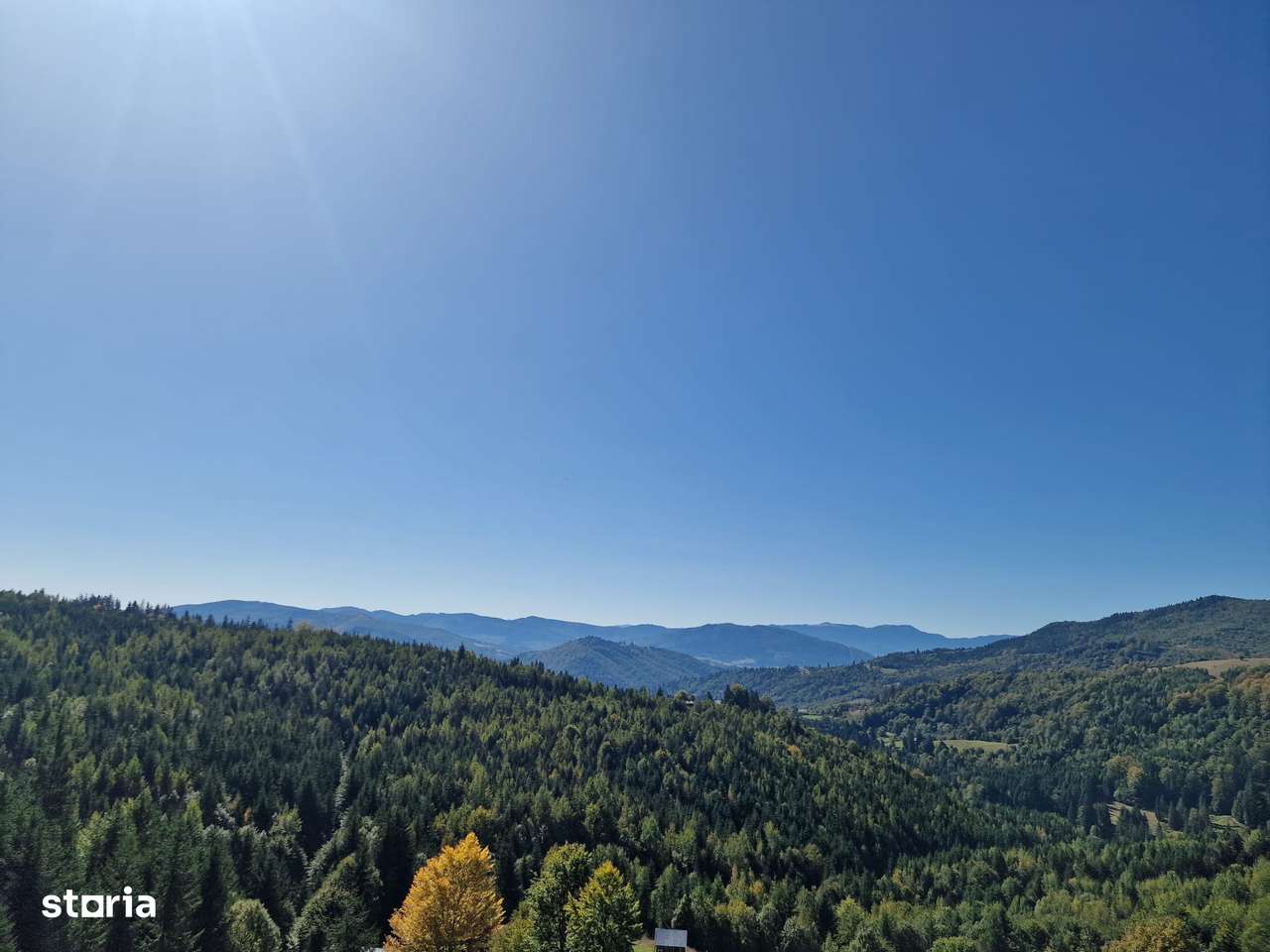 Vindem teren forestier 44165 mp Doabra - Bucovina-6