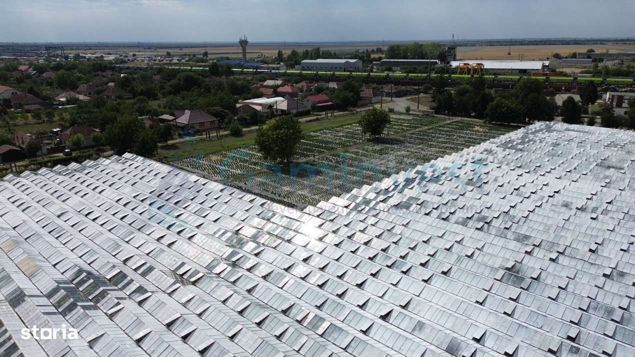 Teren 8,6 ha cu Sere,afacere horticola in Curtici,Arad,V4282,Gaminvest - Imagine principală: 4/5