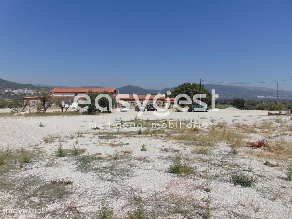 Quinta com Restaurante, Alojamento, Praia Fluvial e Produção de azeite - Grande imagem: 4/49