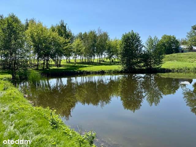 PIĘKNA DZIAŁKA nad jeziorem (las, staw, media, mpzp) - Pełny obrazek: 5/20