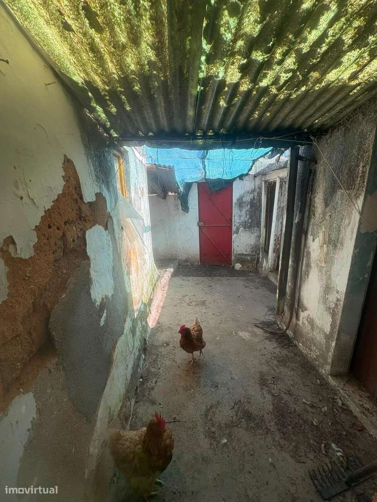 Moradia térrea para reconstrução com logradouro em Moita do Norte-18
