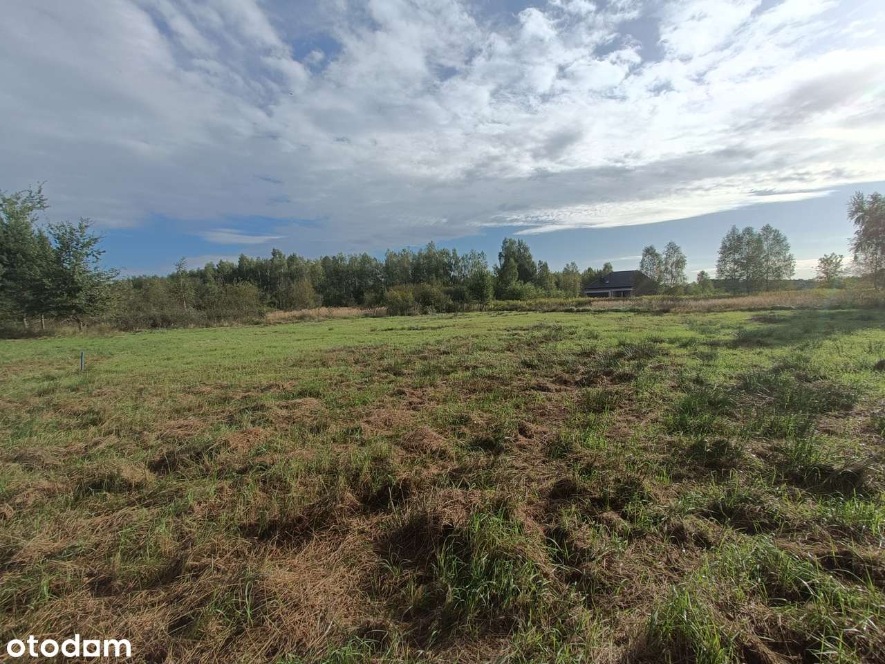 Działka 9,77a w świetnej lokalizacji, Jasionka - Pełny obrazek: 4/6