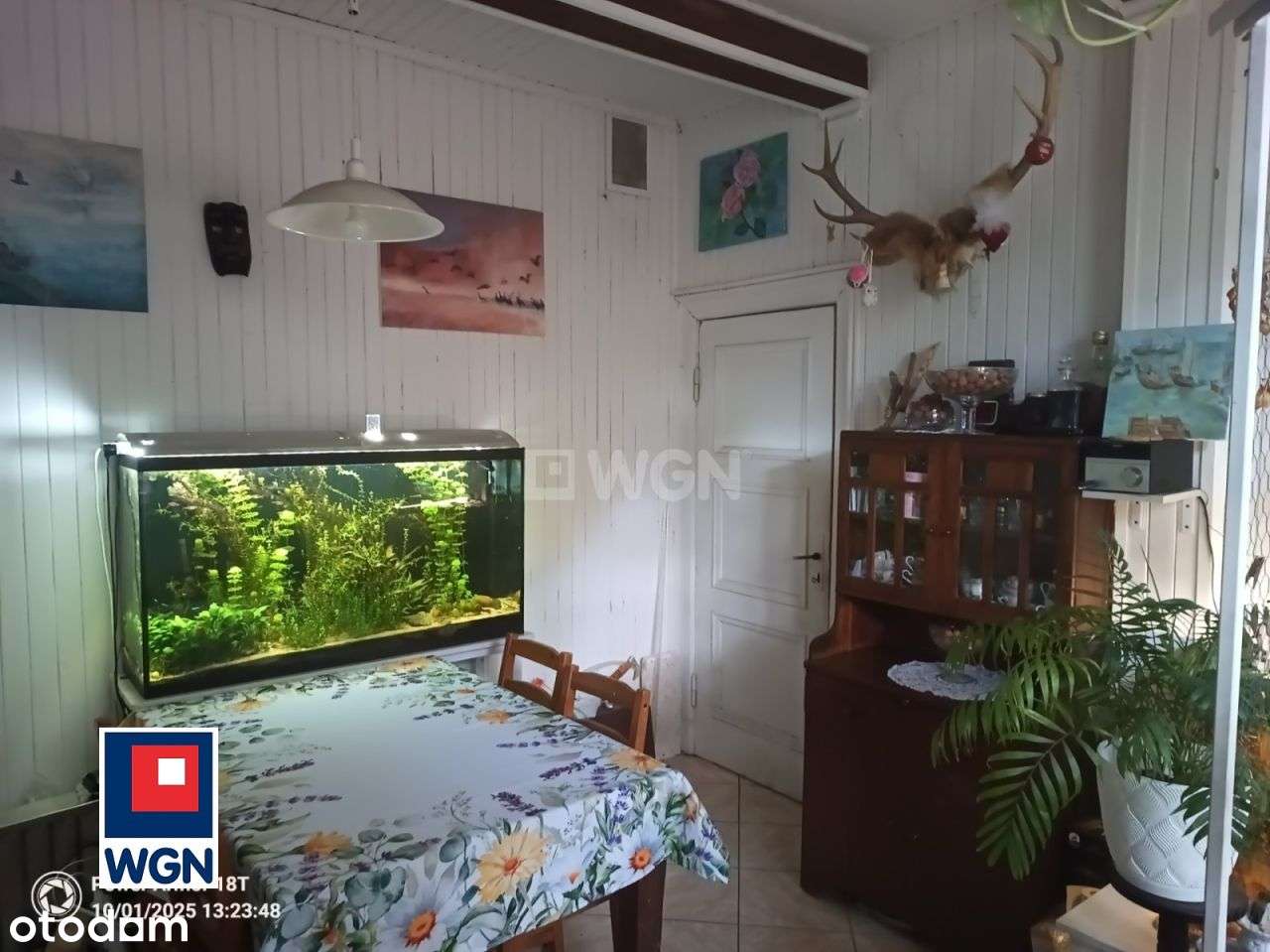 Kamienica, ogród, sztukateria ? 81 m? w sercu Anio-4