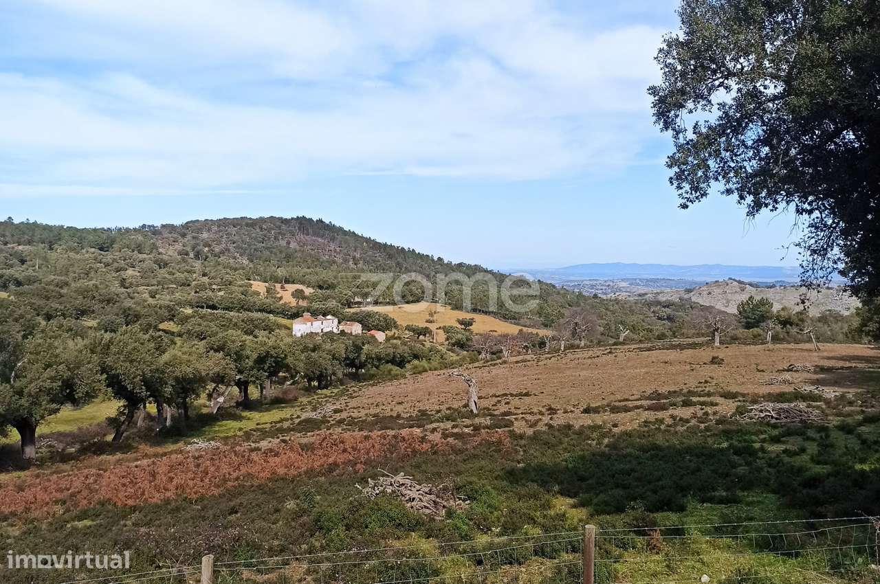 Prédio em Galegos a 15 minutos de Marvão e a 2 minutos de Espanha - Grande imagem: 5/6