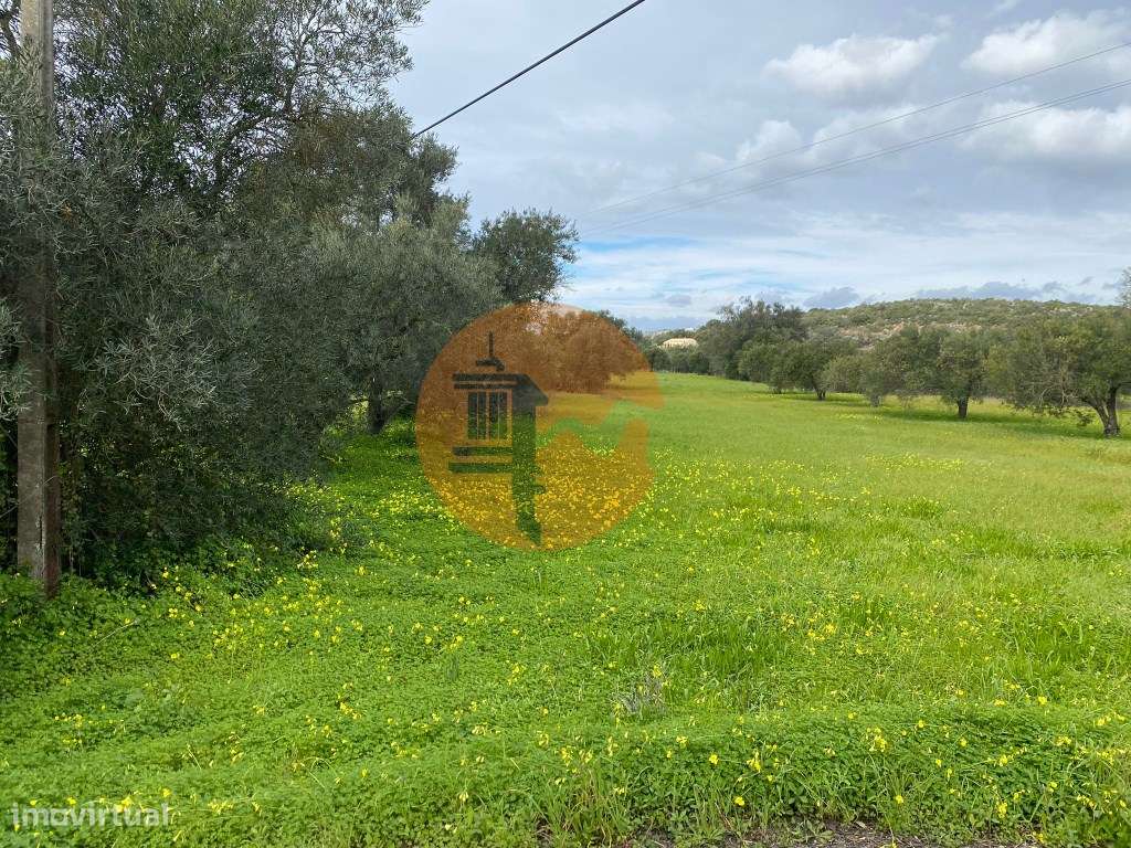 Terreno Rústico - Grande imagem: 3/15