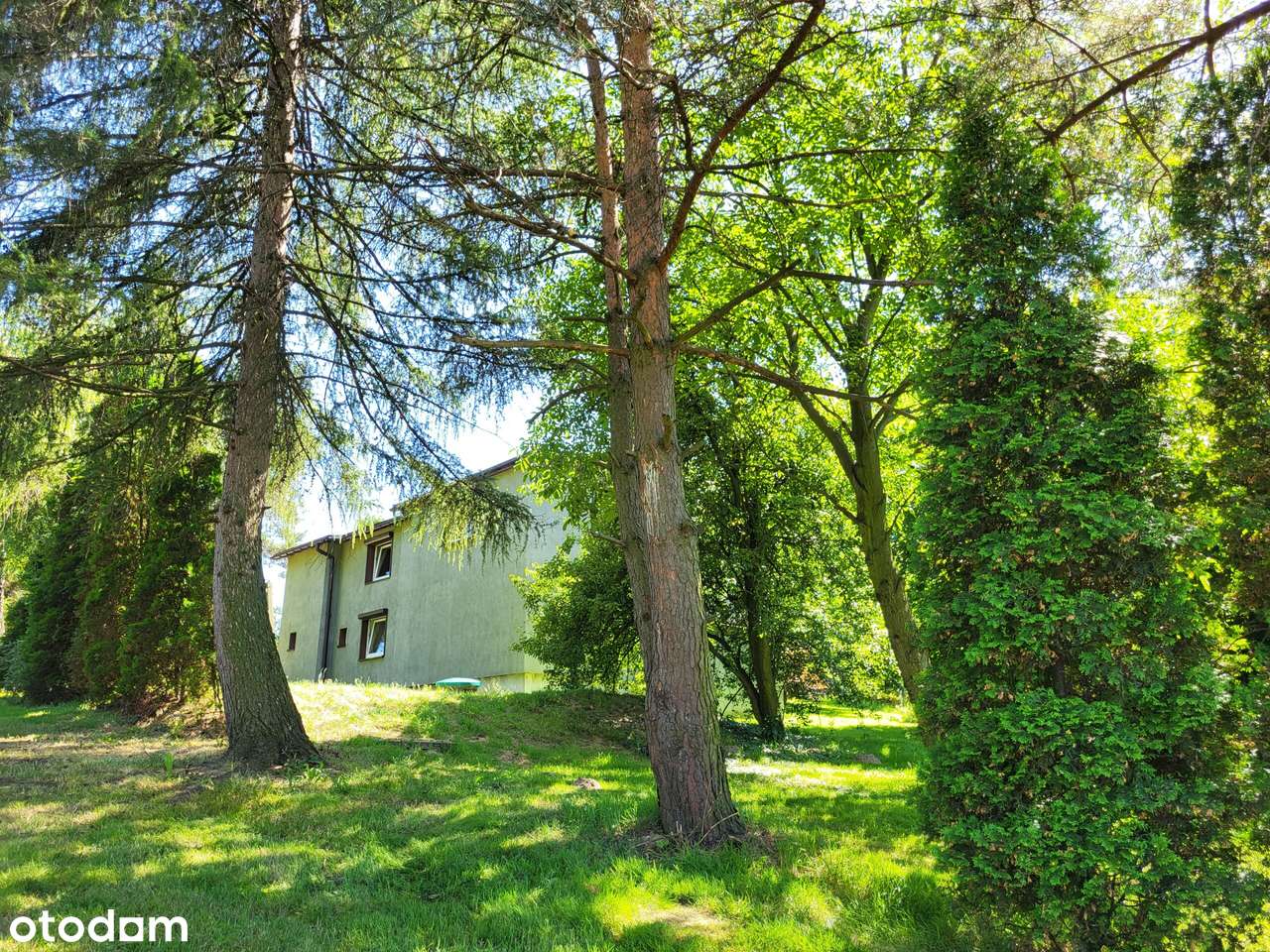 Dom wolnostojący na dużej działce - Pełny obrazek: 3/16