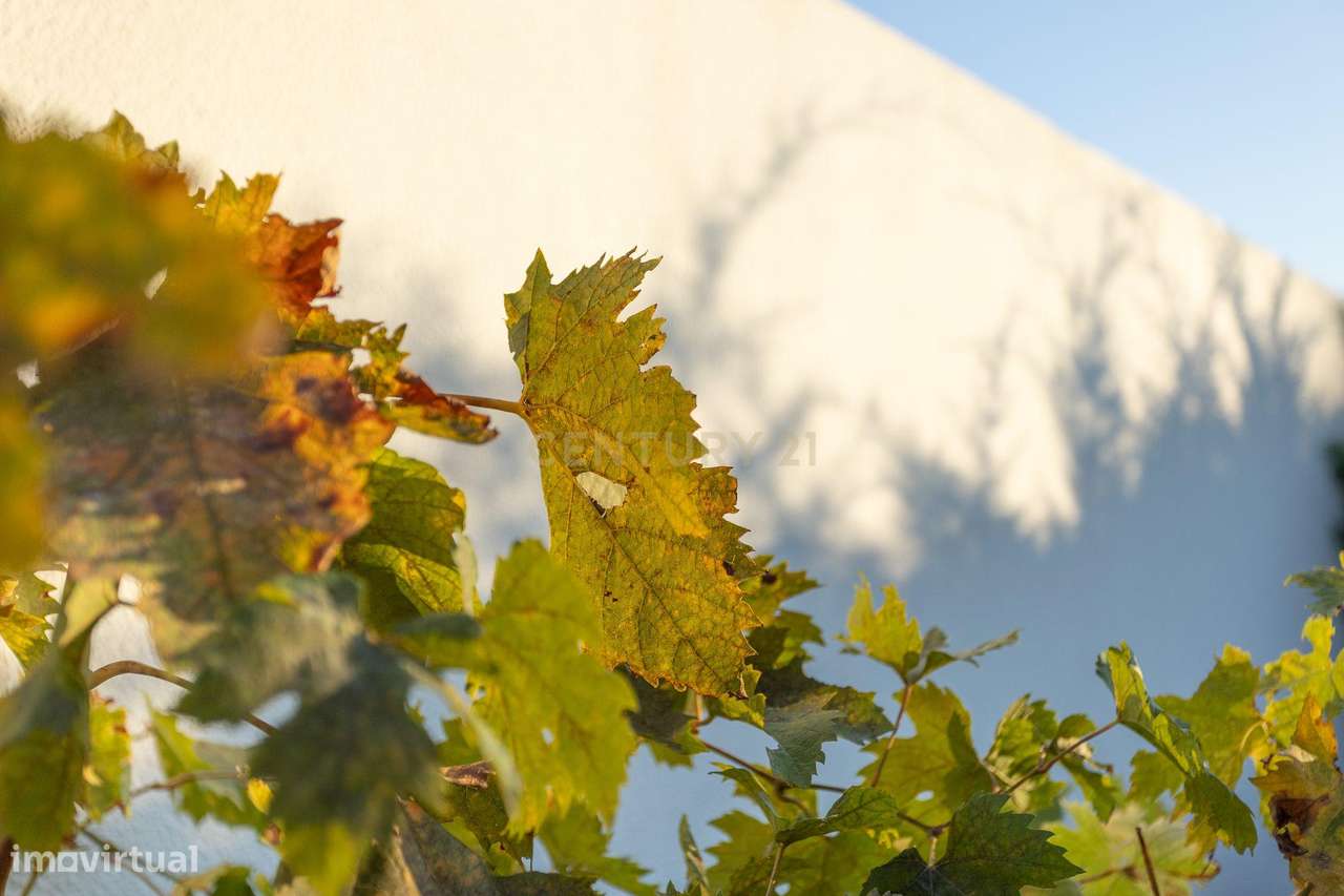Moradia com Piscina e Jardim - Quinta do Anjo/Palmela-15