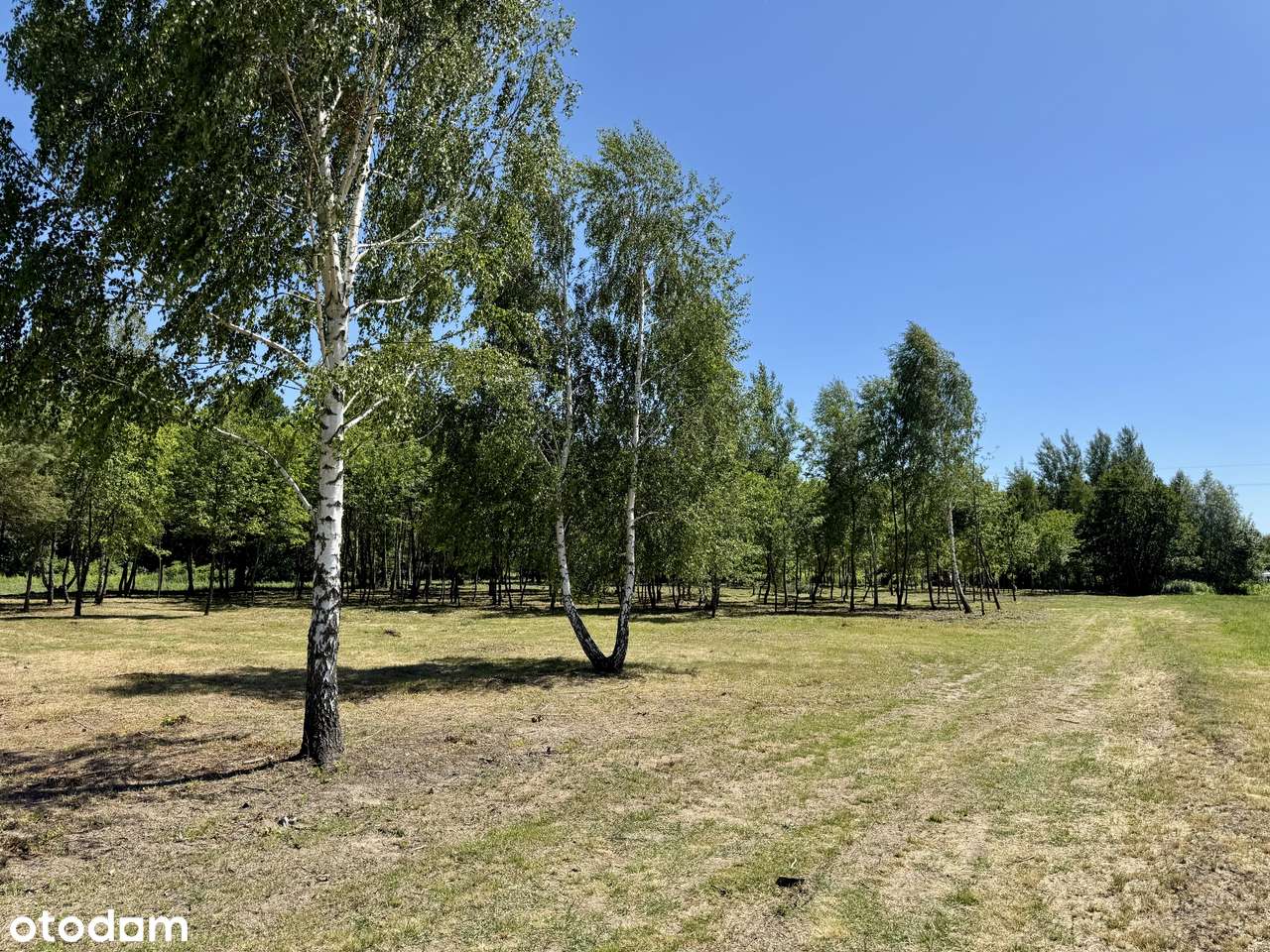 Działka budowlana przy Jeziorze Białym ok 1 km. - Pełny obrazek: 4/11