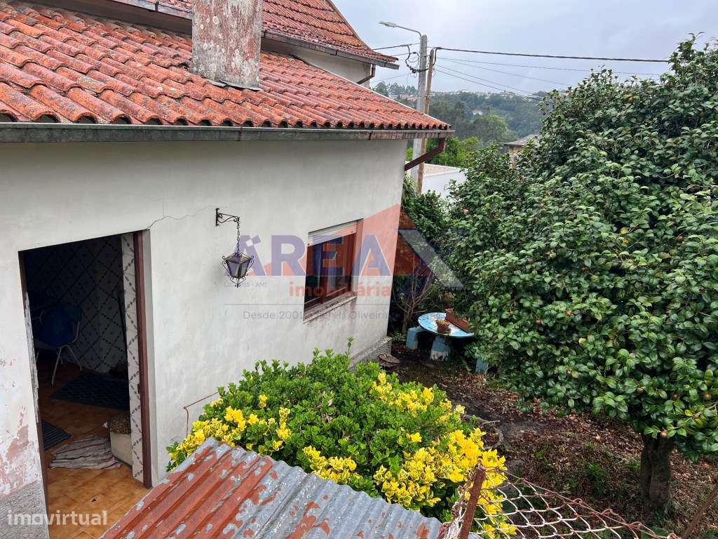 Oportunidade: 2 casas + artigo rústico com 2,0648 ha, perto de Oliv...-24
