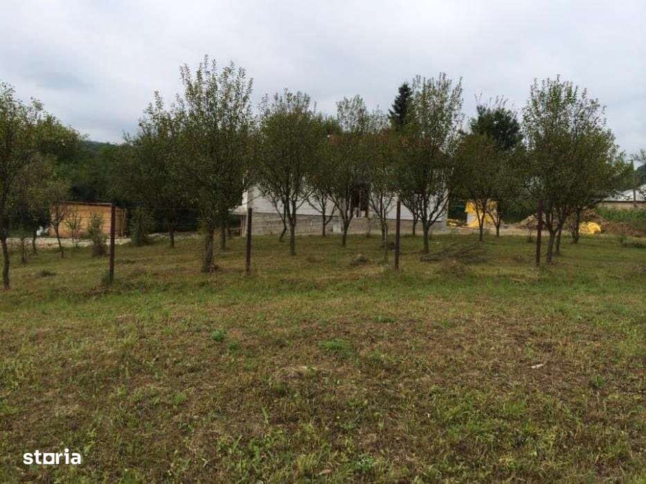 Teren intravilan de vanzare Valea Lunga jud Dambovita-4