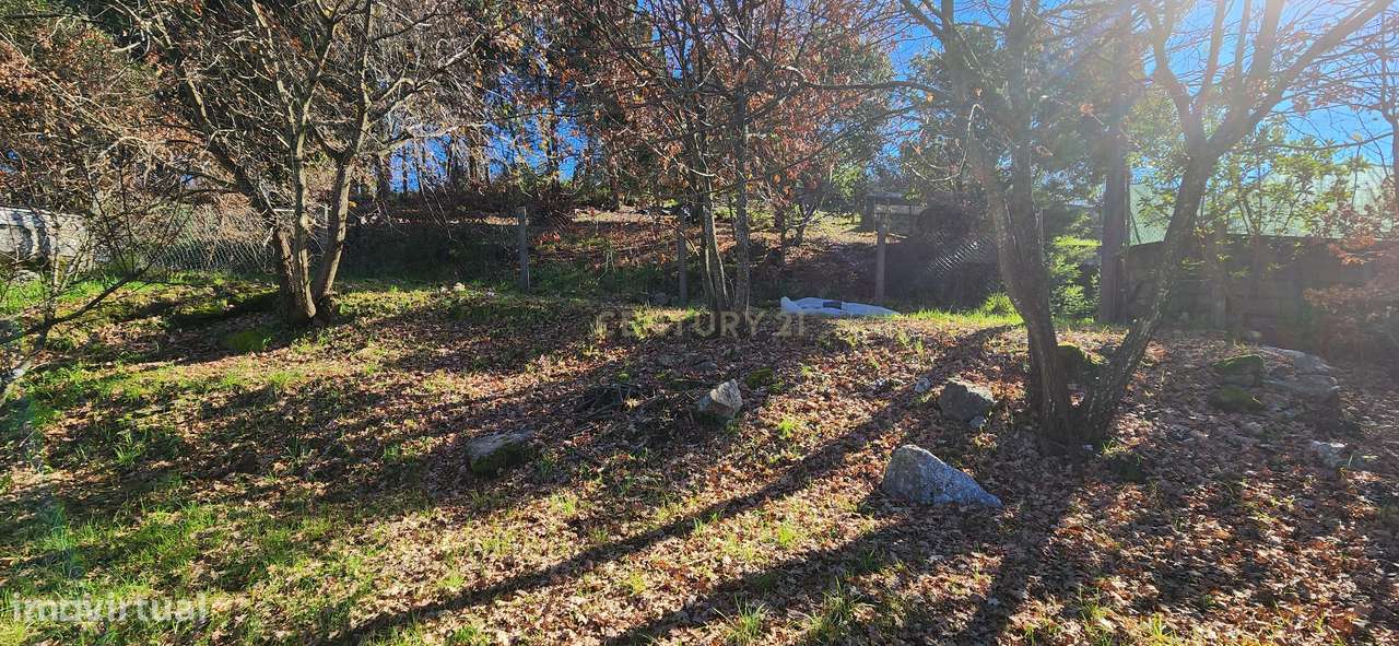 Terreno para construção com  área de 1930m2 - Grande imagem: 3/5